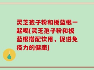灵芝孢子粉和板蓝根一起喝(灵芝孢子粉和板蓝根搭配饮用，促进免疫力的健康)