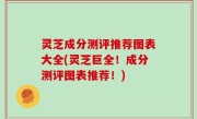 灵芝成分测评推荐图表大全(灵芝巨全！成分测评图表推荐！)