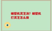 破壁机灵芝汤？破壁机打灵芝怎么做
