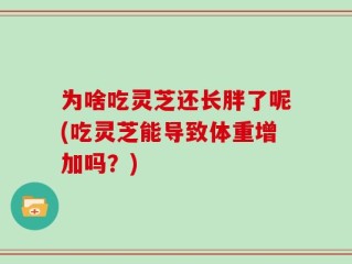 为啥吃灵芝还长胖了呢(吃灵芝能导致体重增加吗？)