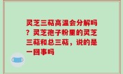 灵芝三萜高温会分解吗？灵芝孢子粉里的灵芝三萜和总三萜，说的是一回事吗