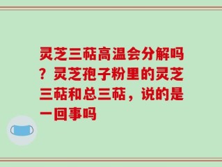 灵芝三萜高温会分解吗？灵芝孢子粉里的灵芝三萜和总三萜，说的是一回事吗