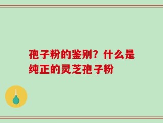 孢子粉的鉴别？什么是纯正的灵芝孢子粉