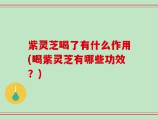 紫灵芝喝了有什么作用(喝紫灵芝有哪些功效？)
