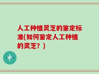 人工种植灵芝的鉴定标准(如何鉴定人工种植的灵芝？)