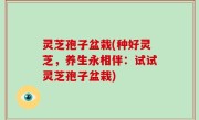 灵芝孢子盆栽(种好灵芝，养生永相伴：试试灵芝孢子盆栽)