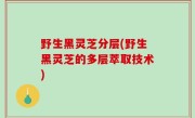 野生黑灵芝分层(野生黑灵芝的多层萃取技术)
