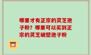 哪里才有正宗的灵芝孢子粉？哪里可以买到正宗的灵芝破壁孢子粉