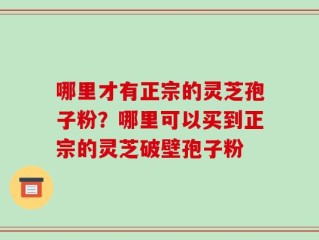 哪里才有正宗的灵芝孢子粉？哪里可以买到正宗的灵芝破壁孢子粉