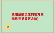 紫阳县摘灵芝的地方紫阳县寻觅灵芝之旅)