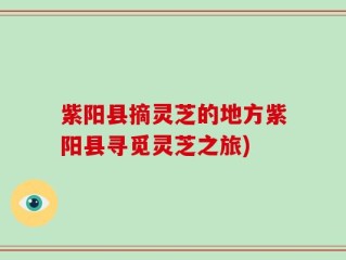 紫阳县摘灵芝的地方紫阳县寻觅灵芝之旅)