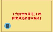 十大野生木灵芝(十种野生灵芝品种大盘点)