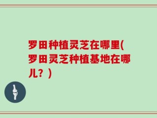 罗田种植灵芝在哪里(罗田灵芝种植基地在哪儿？)