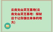 云南文山灵芝基地(云南文山灵芝基地：探秘这个让你强壮身体的地方)