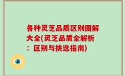 各种灵芝品质区别图解大全(灵芝品质全解析：区别与挑选指南)