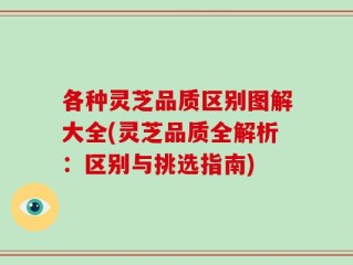 各种灵芝品质区别图解大全(灵芝品质全解析：区别与挑选指南)