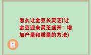 怎么让金豆长灵芝(让金豆迎来灵芝盛开：增加产量和质量的方法)
