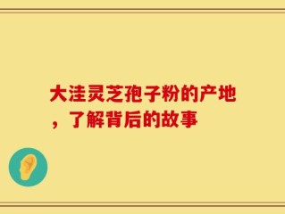 大洼灵芝孢子粉的产地，了解背后的故事