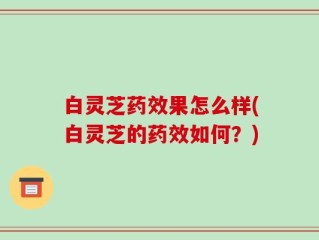 白灵芝药效果怎么样(白灵芝的药效如何？)