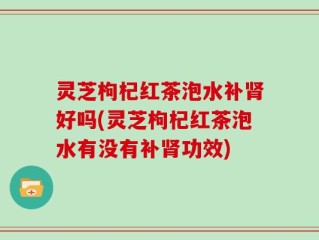 灵芝枸杞红茶泡水补肾好吗(灵芝枸杞红茶泡水有没有补肾功效)