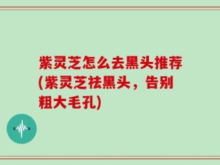 紫灵芝怎么去黑头推荐(紫灵芝祛黑头，告别粗大毛孔)