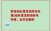 野生松杉灵芝功效与作用(松杉灵芝的功效与作用，全方位解析