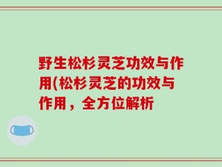 野生松杉灵芝功效与作用(松杉灵芝的功效与作用，全方位解析