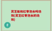 灵芝能和红枣泡水吗功效(灵芝红枣泡水的功效)