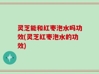 灵芝能和红枣泡水吗功效(灵芝红枣泡水的功效)