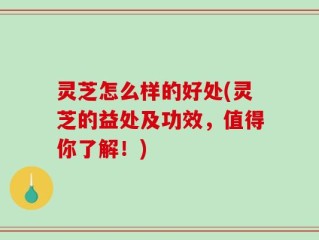 灵芝怎么样的好处(灵芝的益处及功效，值得你了解！)