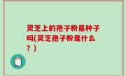 灵芝上的孢子粉是种子吗(灵芝孢子粉是什么？)