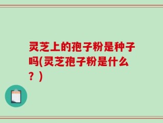 灵芝上的孢子粉是种子吗(灵芝孢子粉是什么？)