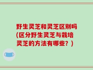 野生灵芝和灵芝区别吗(区分野生灵芝与栽培灵芝的方法有哪些？)
