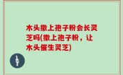 木头撒上孢子粉会长灵芝吗(撒上孢子粉，让木头催生灵芝)