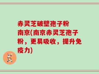 赤灵芝破壁孢子粉  南京(南京赤灵芝孢子粉，更易吸收，提升免疫力)