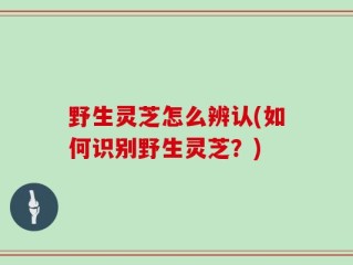 野生灵芝怎么辨认(如何识别野生灵芝？)