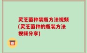 灵芝菌种装瓶方法视频(灵芝菌种的瓶装方法视频分享)
