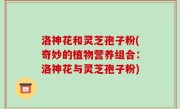 洛神花和灵芝孢子粉(奇妙的植物营养组合：洛神花与灵芝孢子粉)