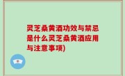 灵芝桑黄酒功效与禁忌是什么灵芝桑黄酒应用与注意事项)