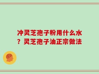 冲灵芝孢子粉用什么水？灵芝孢子油正宗做法
