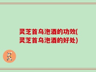 灵芝首乌泡酒的功效(灵芝首乌泡酒的好处)