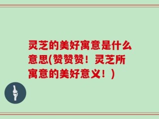 灵芝的美好寓意是什么意思(赞赞赞！灵芝所寓意的美好意义！)