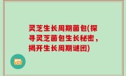 灵芝生长周期菌包(探寻灵芝菌包生长秘密，揭开生长周期谜团)