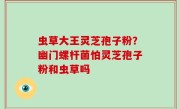 虫草大王灵芝孢子粉？幽门螺杆菌怕灵芝孢子粉和虫草吗