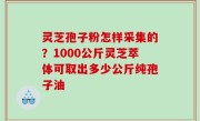 灵芝孢子粉怎样采集的？1000公斤灵芝萃体可取出多少公斤纯孢子油