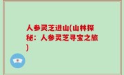 人参灵芝进山(山林探秘：人参灵芝寻宝之旅)