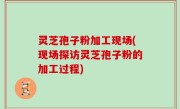 灵芝孢子粉加工现场(现场探访灵芝孢子粉的加工过程)