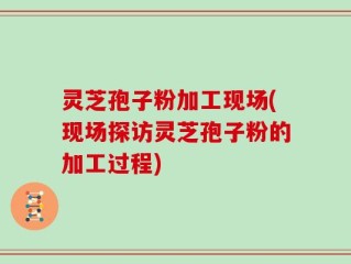 灵芝孢子粉加工现场(现场探访灵芝孢子粉的加工过程)