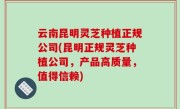 云南昆明灵芝种植正规公司(昆明正规灵芝种植公司，产品高质量，值得信赖)
