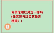赤灵芝跟红灵芝一样吗(赤灵芝与红灵芝是否相同？)
